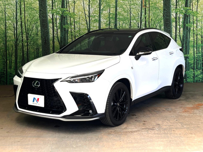 2023 Lexus NX 6AA-AAZH20 (UW-69f6bb926cfea)[11]