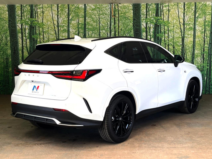 2023 Lexus NX 6AA-AAZH20 (UW-69f6bb926cfea)[25]