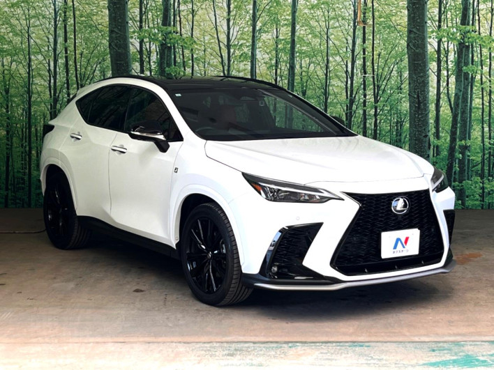2023 Lexus NX 6AA-AAZH20 (UW-69f6bb926cfea)[18]