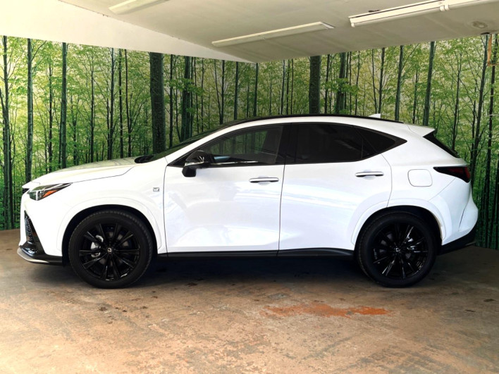 2023 Lexus NX 6AA-AAZH20 (UW-69f6bb926cfea)[10]