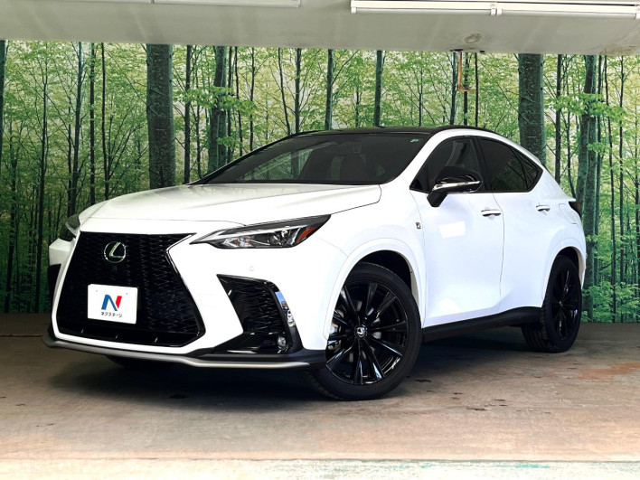 2023 Lexus NX 6AA-AAZH20 (UW-69f6bb926cfea)[0]