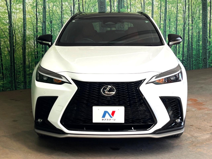 2023 Lexus NX 6AA-AAZH20 (UW-69f6bb926cfea)[12]