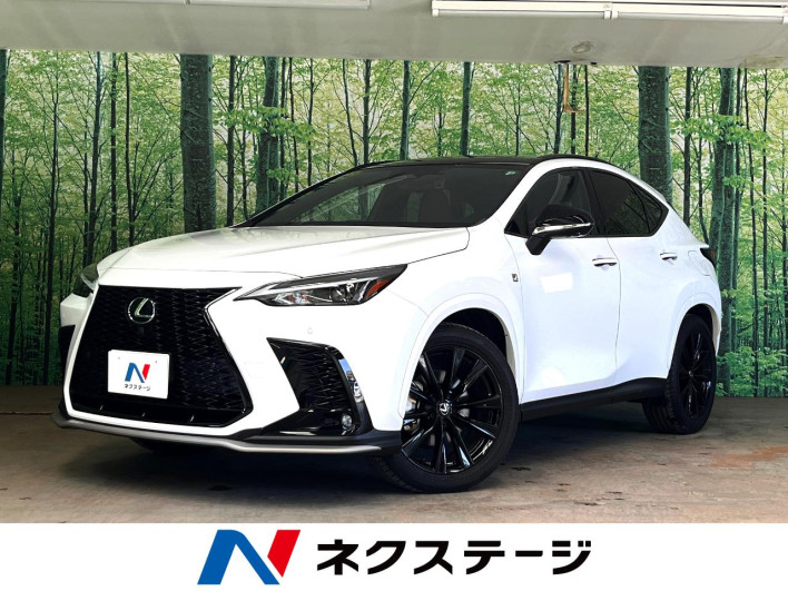 2023 Lexus NX 6AA-AAZH20 (UW-69f6bb926cfea)[3]