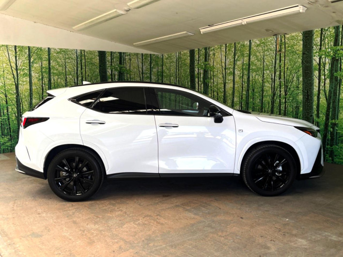 2023 Lexus NX 6AA-AAZH20 (UW-69f6bb926cfea)[24]