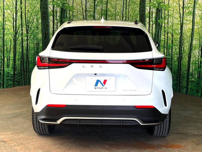 2023 Lexus NX 6AA-AAZH20 (UW-69f6bb926cfea)[29]