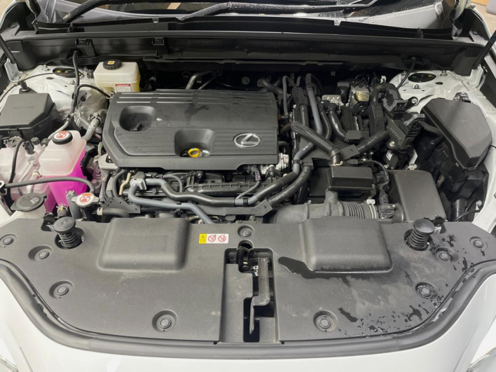 2024 Lexus NX 6AA-AAZH20 (UW-69f6bb928e2a2)[7]