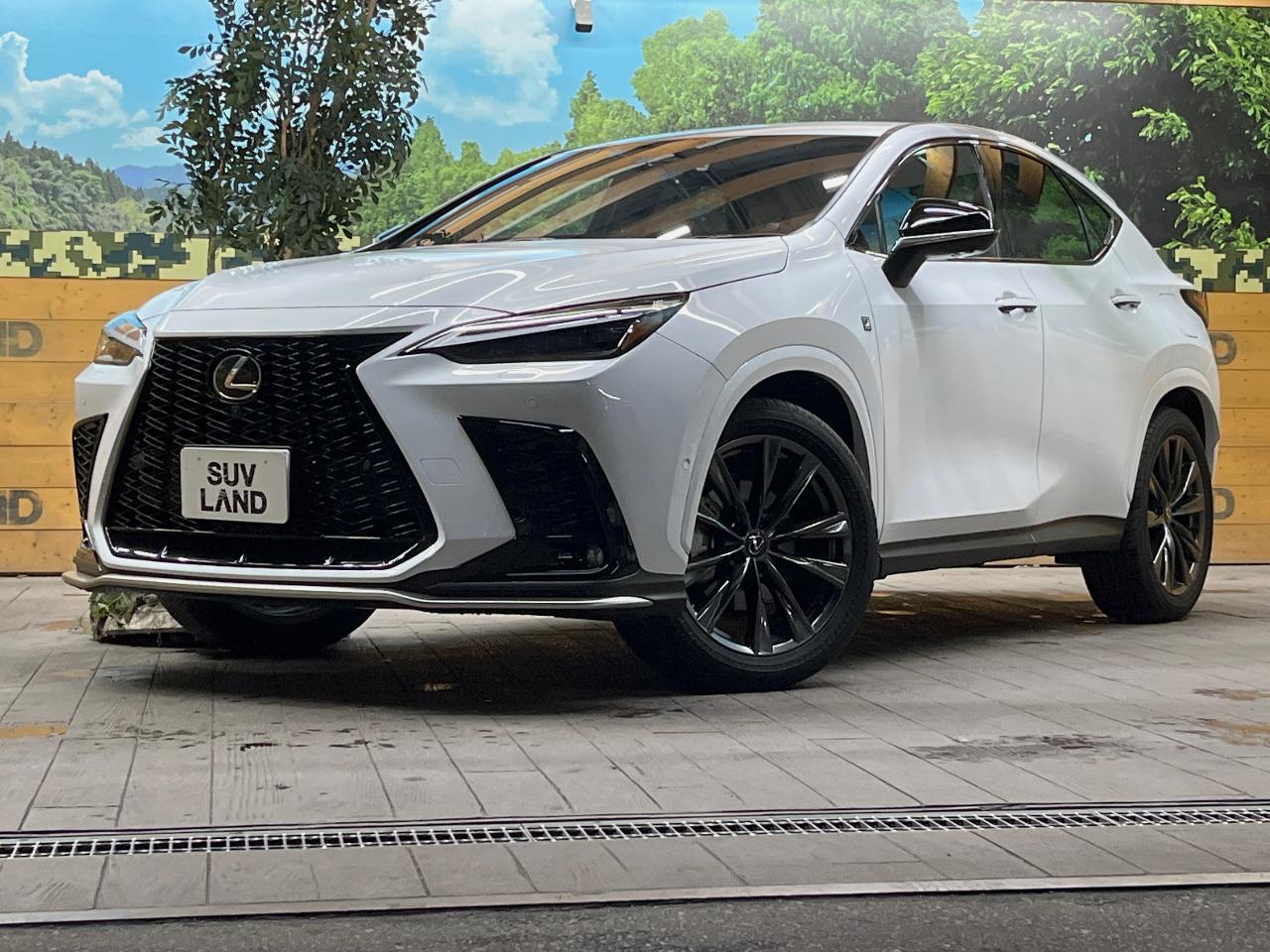 2024 Lexus NX 6AA-AAZH20