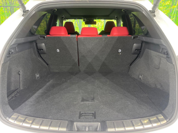 2024 Lexus NX 6AA-AAZH20 (UW-69f6bb92ac6a3)[22]