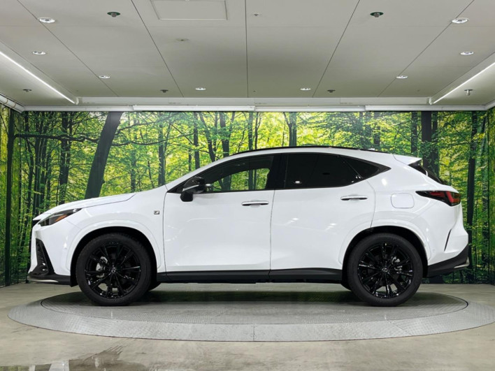 2024 Lexus NX 6AA-AAZH20 (UW-69f6bb92ac6a3)[5]