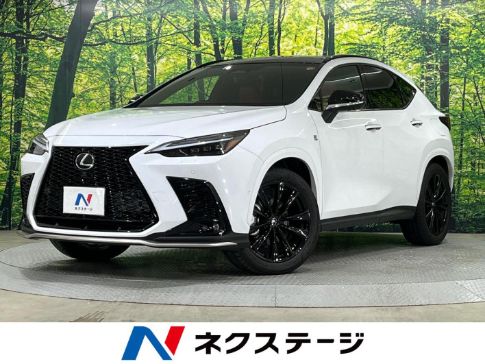 2024 Lexus NX 6AA-AAZH20 (UW-69f6bb92ac6a3)[3]