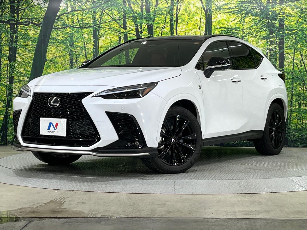 2024 Lexus NX 6AA-AAZH20