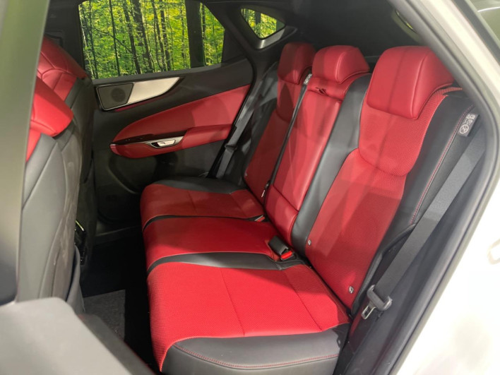 2024 Lexus NX 6AA-AAZH20 (UW-69f6bb92ac6a3)[19]