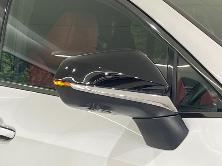 2024 Lexus NX 6AA-AAZH20 (UW-69f6bb92ac6a3)[12]