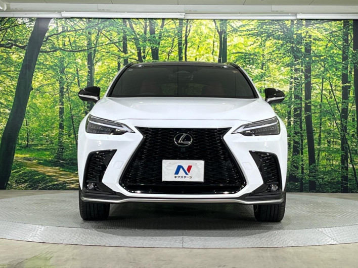 2024 Lexus NX 6AA-AAZH20 (UW-69f6bb92ac6a3)[11]