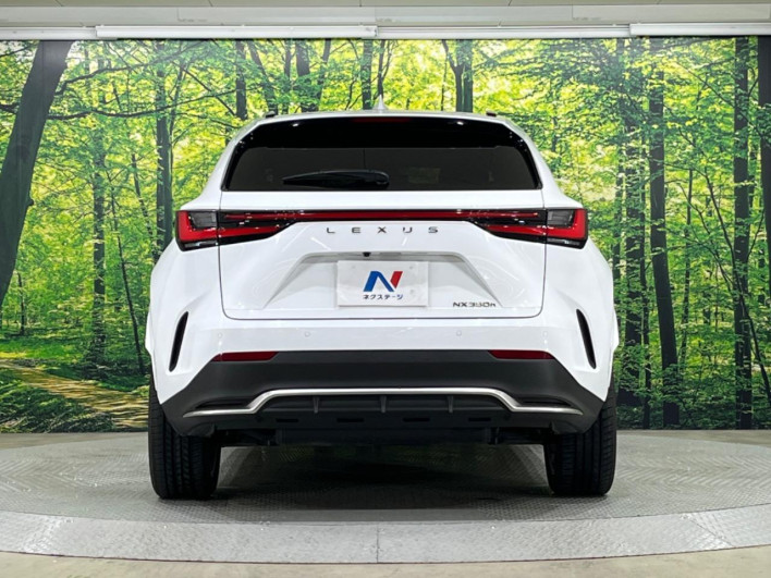 2024 Lexus NX 6AA-AAZH20 (UW-69f6bb92ac6a3)[7]