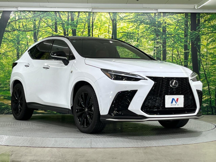 2024 Lexus NX 6AA-AAZH20 (UW-69f6bb92ac6a3)[10]