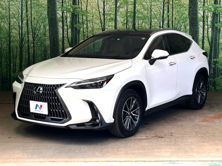 2023 Lexus NX 6AA-AAZH20 (UW-69f6bb943dfcd)[11]