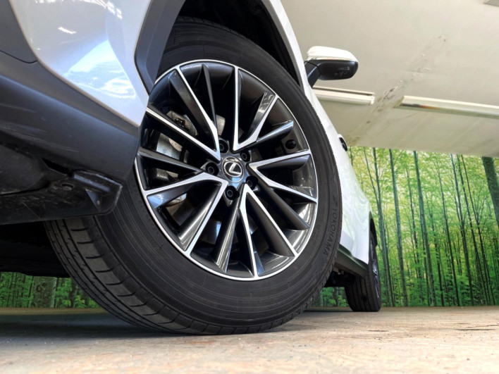 2023 Lexus NX 6AA-AAZH20 (UW-69f6bb943dfcd)[4]