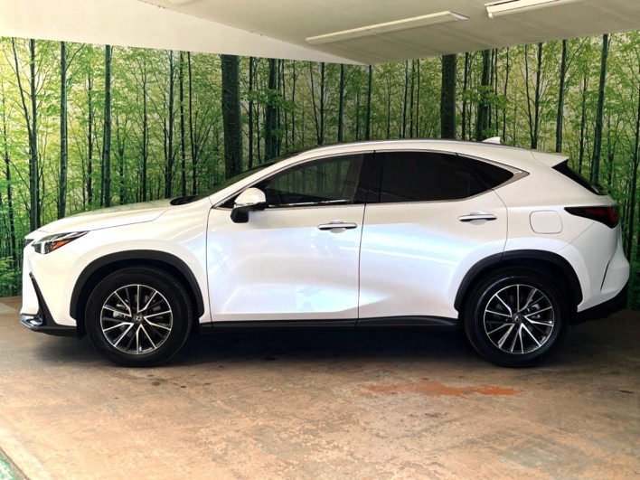 2023 Lexus NX 6AA-AAZH20 (UW-69f6bb943dfcd)[10]