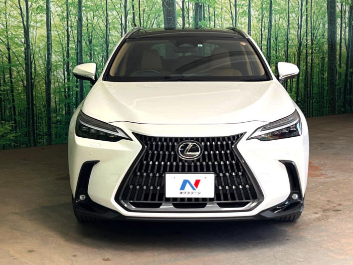2023 Lexus NX 6AA-AAZH20 (UW-69f6bb943dfcd)[12]
