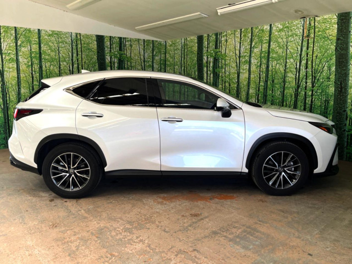 2023 Lexus NX 6AA-AAZH20 (UW-69f6bb943dfcd)[23]