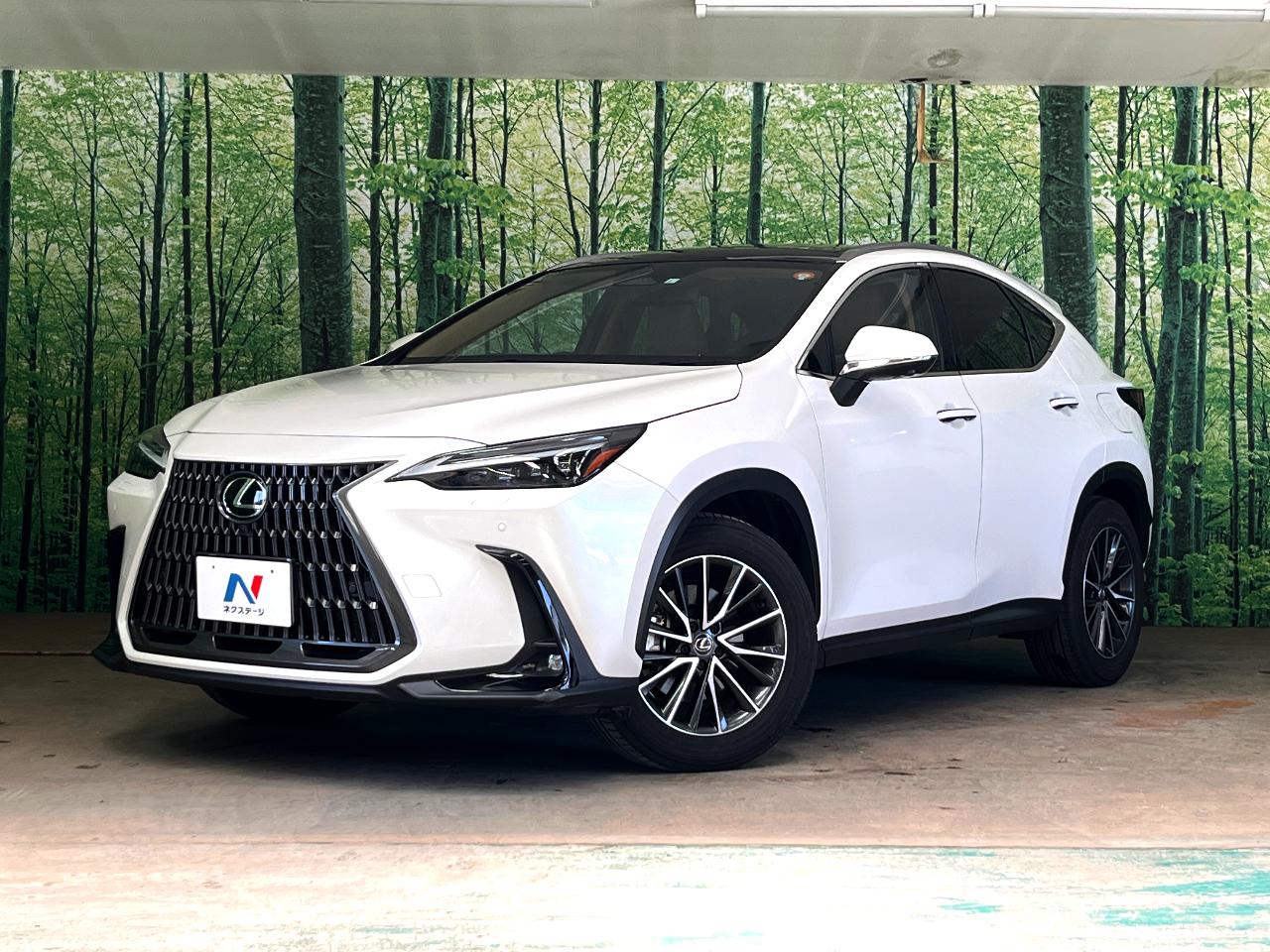 2023 Lexus NX 6AA-AAZH20