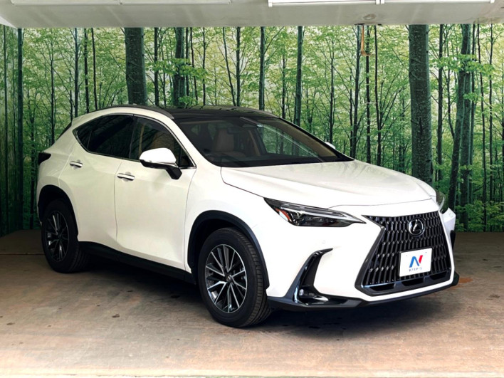 2023 Lexus NX 6AA-AAZH20 (UW-69f6bb943dfcd)[18]