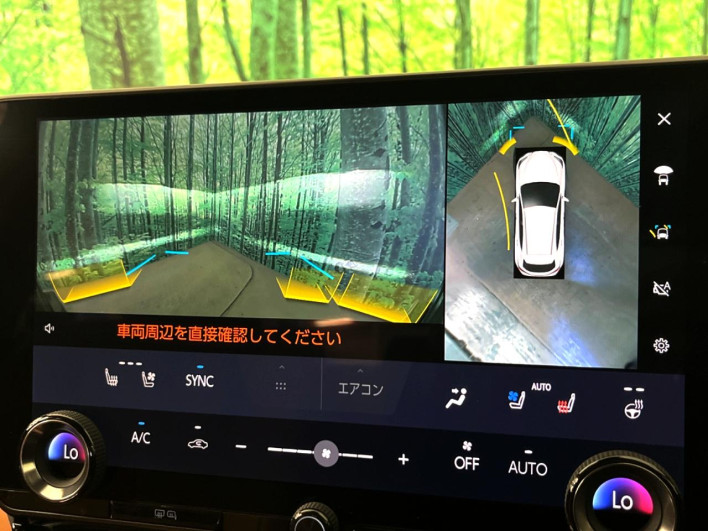 2023 Lexus NX 6AA-AAZH20 (UW-69f6bb943dfcd)[25]