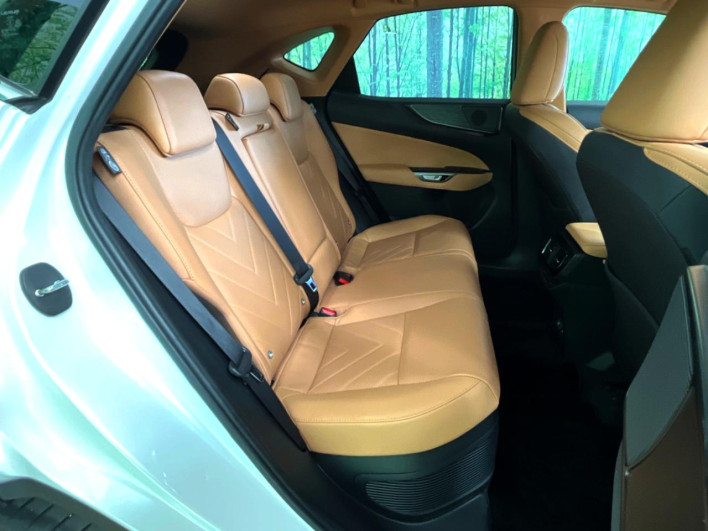 2023 Lexus NX 6AA-AAZH20 (UW-69f6bb943dfcd)[21]