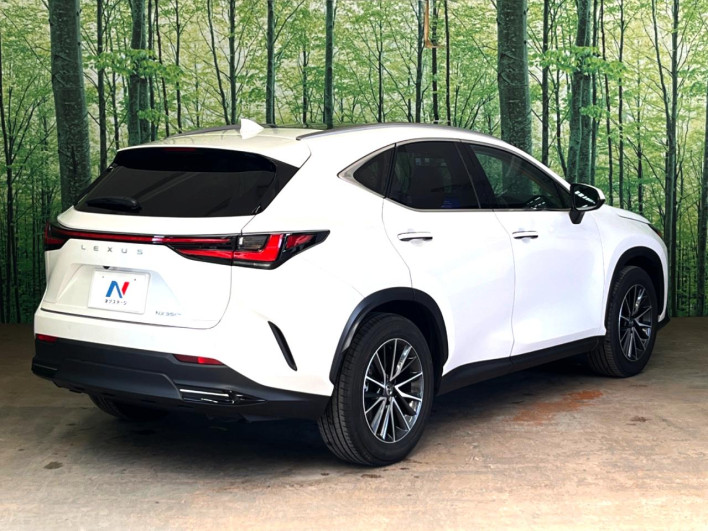 2023 Lexus NX 6AA-AAZH20 (UW-69f6bb943dfcd)[24]