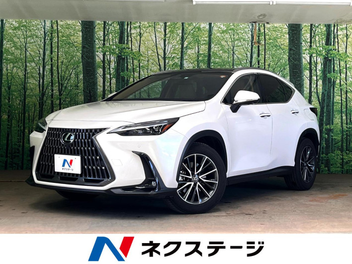 2023 Lexus NX 6AA-AAZH20 (UW-69f6bb943dfcd)[3]