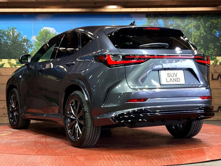 2022 Lexus NX 6LA-AAZH26 (UW-69f6bb9474931)[21]