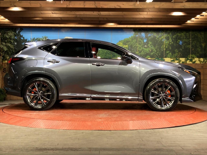 2022 Lexus NX 6LA-AAZH26 (UW-69f6bb9474931)[18]