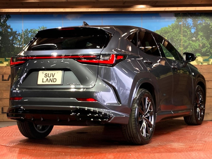 2022 Lexus NX 6LA-AAZH26 (UW-69f6bb9474931)[19]