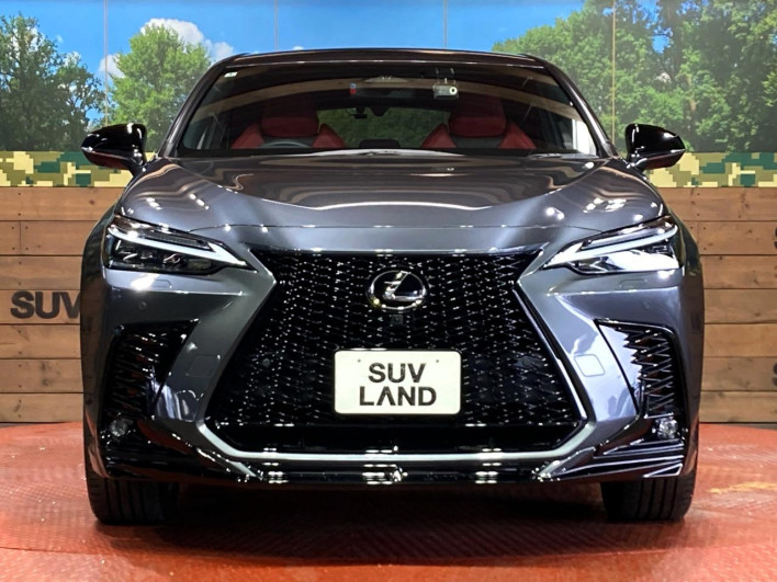 2022 Lexus NX 6LA-AAZH26 (UW-69f6bb9474931)[16]