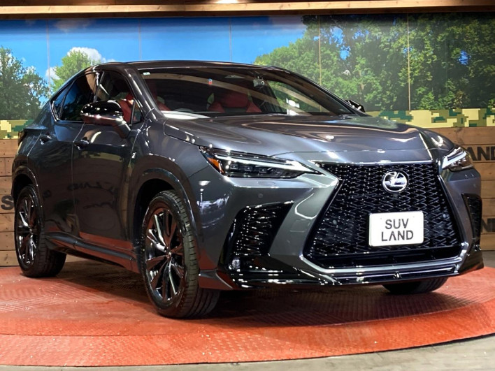 2022 Lexus NX 6LA-AAZH26 (UW-69f6bb9474931)[17]