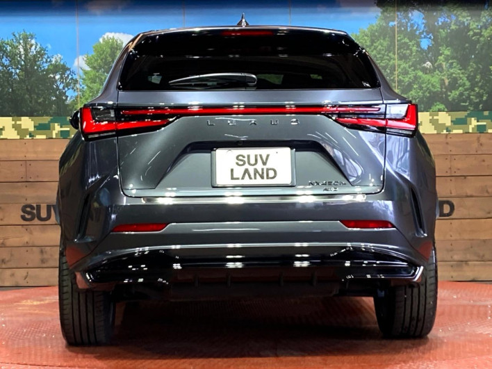 2022 Lexus NX 6LA-AAZH26 (UW-69f6bb9474931)[20]