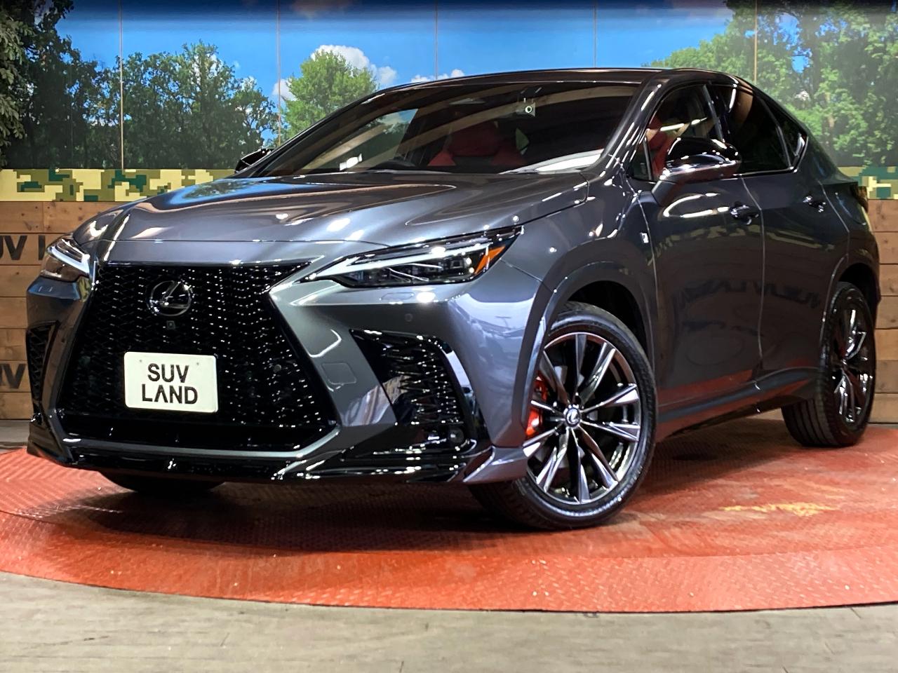 2022 Lexus NX 6LA-AAZH26