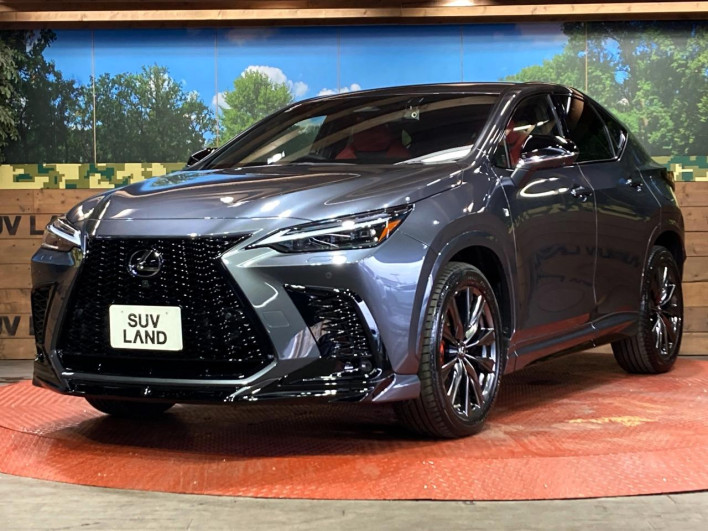 2022 Lexus NX 6LA-AAZH26 (UW-69f6bb9474931)[15]