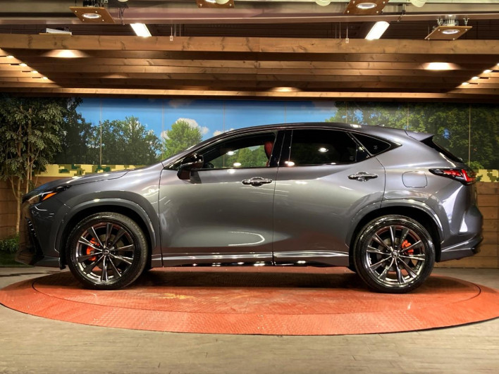 2022 Lexus NX 6LA-AAZH26 (UW-69f6bb9474931)[22]