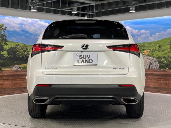 2021 Lexus NX 3BA-AGZ10 (UW-69f6bba2a9202)[28]