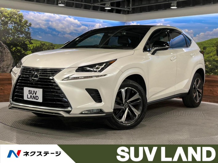 2021 Lexus NX 3BA-AGZ10 (UW-69f6bba2a9202)[3]