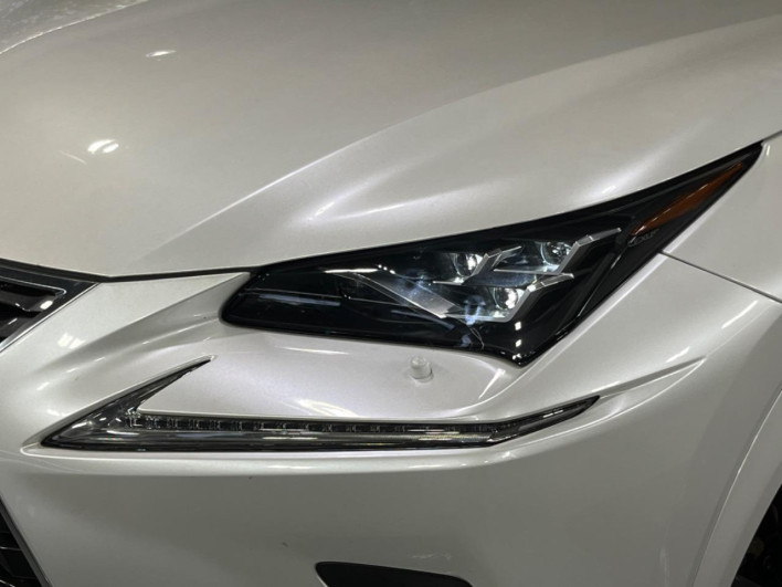 2021 Lexus NX 3BA-AGZ10 (UW-69f6bba2a9202)[11]