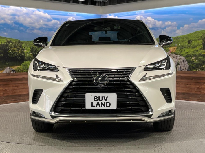 2021 Lexus NX 3BA-AGZ10 (UW-69f6bba2a9202)[19]