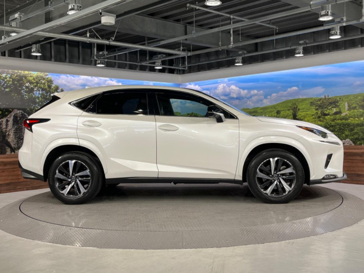 2021 Lexus NX 3BA-AGZ10 (UW-69f6bba2a9202)[21]