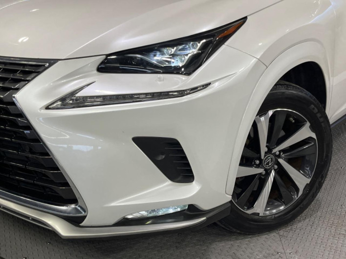2021 Lexus NX 3BA-AGZ10 (UW-69f6bba2a9202)[10]