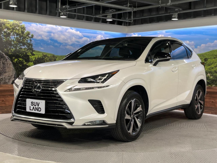 2021 Lexus NX 3BA-AGZ10 (UW-69f6bba2a9202)[18]