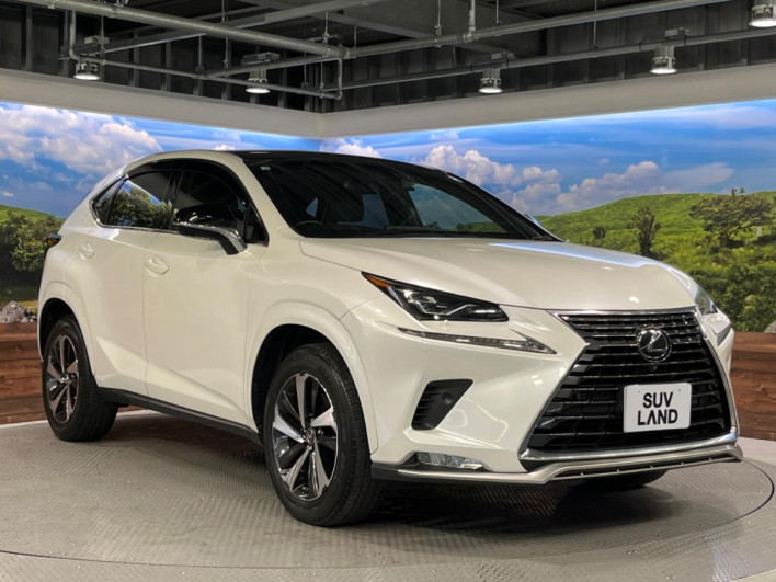 2021 Lexus NX 3BA-AGZ10 (UW-69f6bba2a9202)[20]