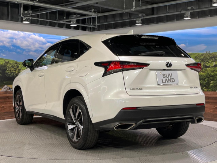 2021 Lexus NX 3BA-AGZ10 (UW-69f6bba2a9202)[29]
