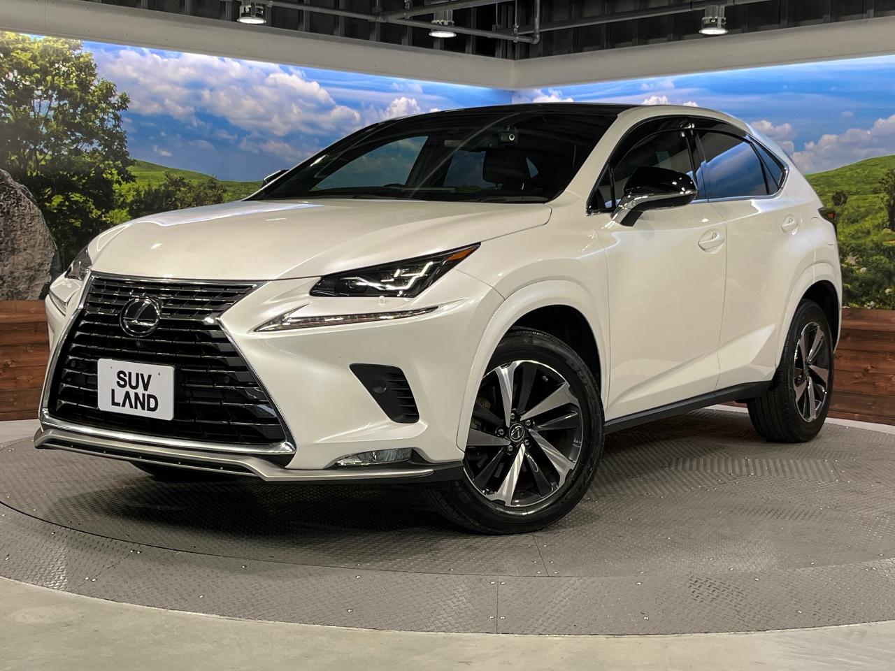 2021 Lexus NX 3BA-AGZ10